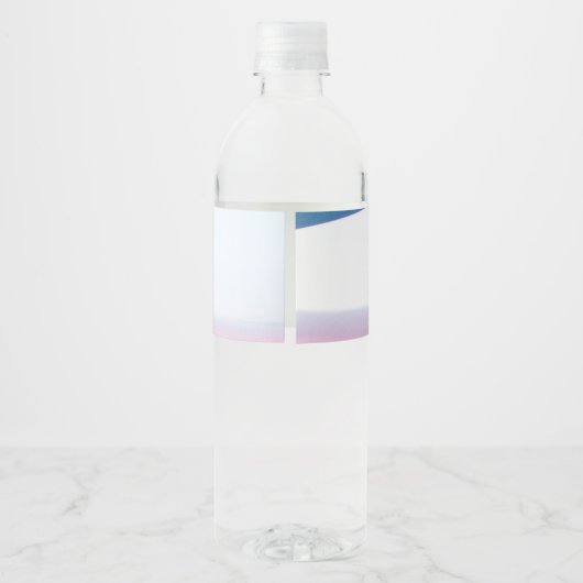 Vliegtuig Pink Pastel Sky Waterfles Etiket (Achterkant)