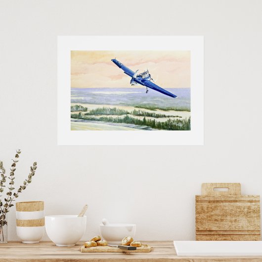  Vliegtuig Poster (Keuken)