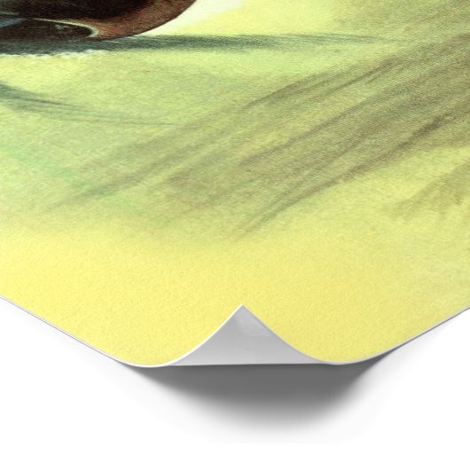  vliegtuig poster (Hoek)