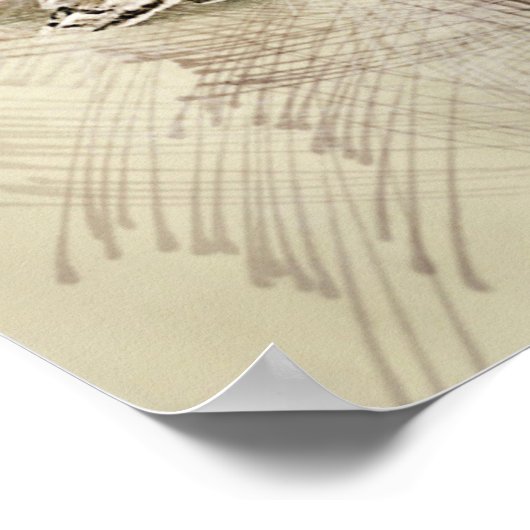 Vliegtuig Poster (Hoek)