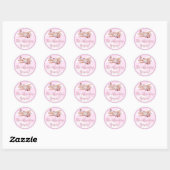 Vliegtuig roze Baby shower Sticker avontuur begint (Vel)
