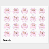 Vliegtuig roze Baby shower Sticker Het is een meis (Vel)