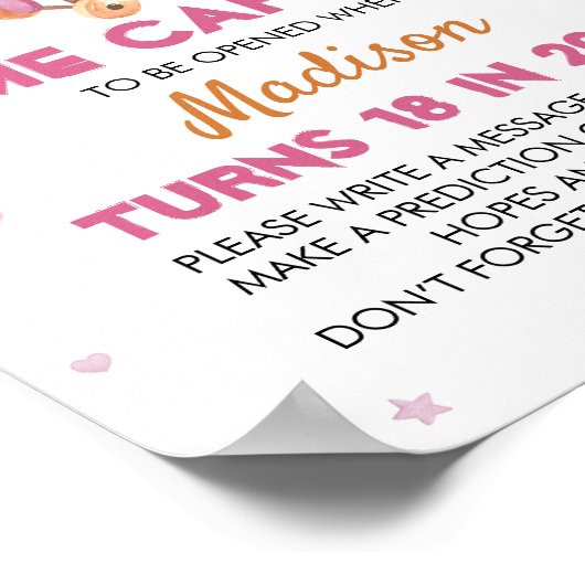 Vliegtuig Roze Verjaardag Tijd Capsule Poster (Hoek)