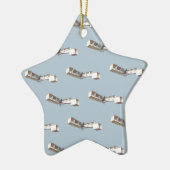 vliegtuig Santos-Dumont 14-Bis Keramisch Ornament (Links)