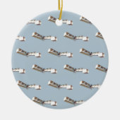 vliegtuig Santos-Dumont 14-Bis Keramisch Ornament (Voorkant)