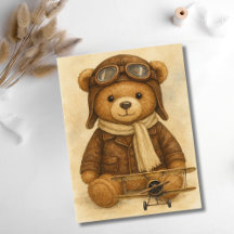  vliegtuig Schattige Teddy Bear Aviator Aviation