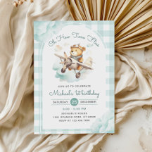 Vliegtuig Teddy Bear Pastel Time vliegt verjaardag