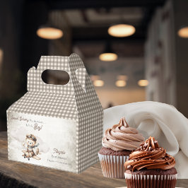 Vliegtuig Teddy Bear Special Delivery Baby shower Bedankdoosjes