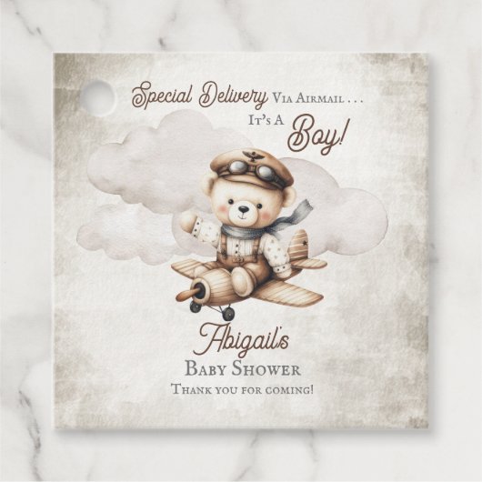 Vliegtuig Teddy Bear Special Delivery Baby shower Bedankjes Labels (Voorkant)