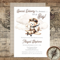 Vliegtuig Teddy Bear Special Delivery Baby shower
