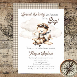 Vliegtuig Teddy Bear Special Delivery Baby shower Kaart