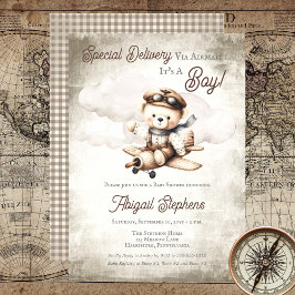 Vliegtuig Teddy Bear Special Delivery Baby shower Kaart