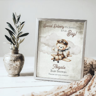 Vliegtuig Teddy Bear Special Delivery Baby shower Poster