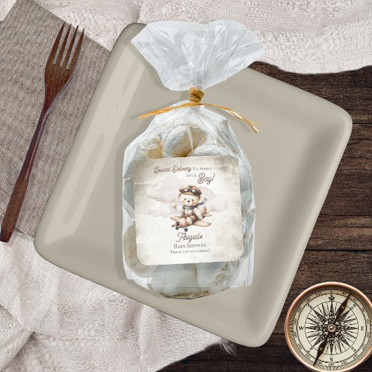 Vliegtuig Teddy Bear Special Delivery Baby shower Vierkante Sticker