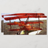  vliegtuig van Shirley Taylor (Voorkant / Achterkant)