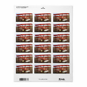  vliegtuig van Shirley Taylor Etiket (Full Sheet)