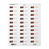  vliegtuig van Shirley Taylor Etiket (Full Sheet)