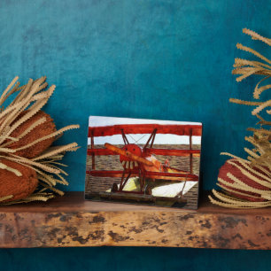 vliegtuig van Shirley Taylor Fotoplaat