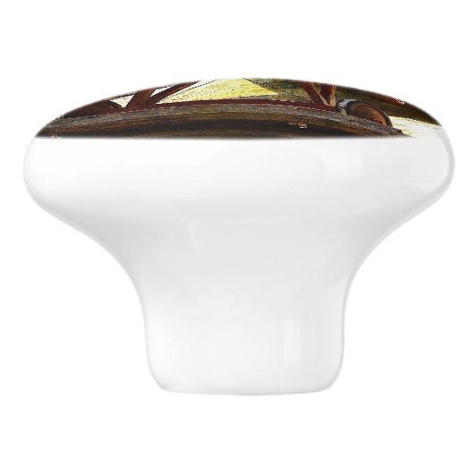 vliegtuig van Shirley Taylor Keramische Knop (Zijkant)