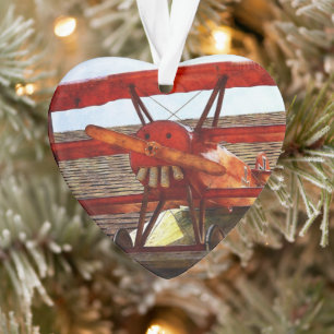  vliegtuig van Shirley Taylor Ornament