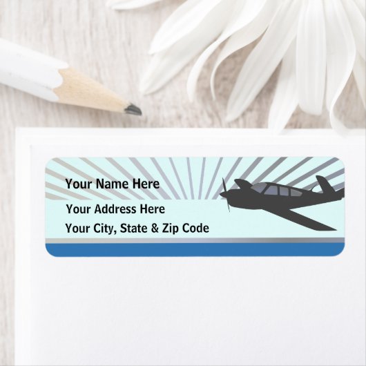 Vliegtuig voor beukenvliegtuigen etiket (Insitu)