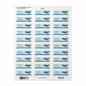 Vliegtuig voor beukenvliegtuigen etiket (Full Sheet)