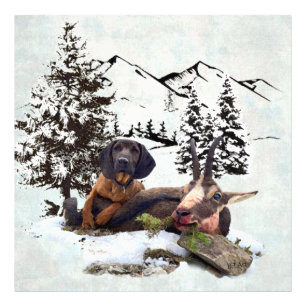 Vliegtuig voor de jacht op gebergte foto afdruk