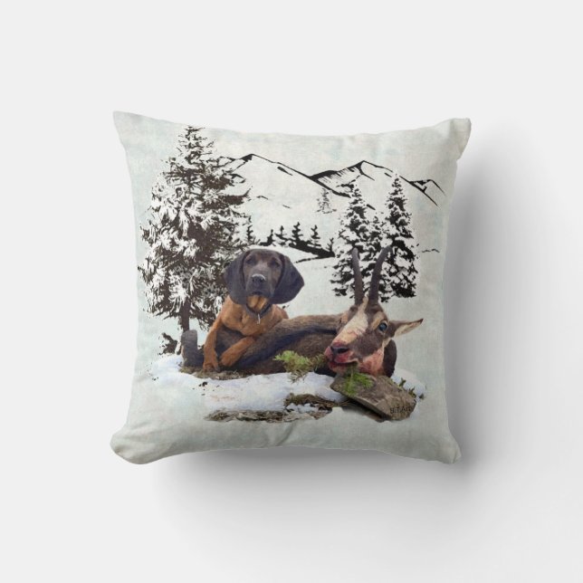 Vliegtuig voor de jacht op gebergte kussen (Voorkant)