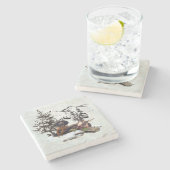 Vliegtuig voor de jacht op gebergte stenen onderzetter (Zijkant)