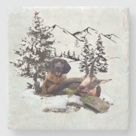 Vliegtuig voor de jacht op gebergte stenen onderzetter