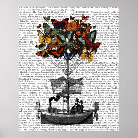 Vliegtuig voor de vlinder poster (Voorkant)