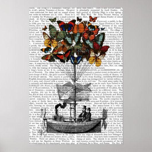 Vliegtuig voor de vlinder poster (Voorkant)