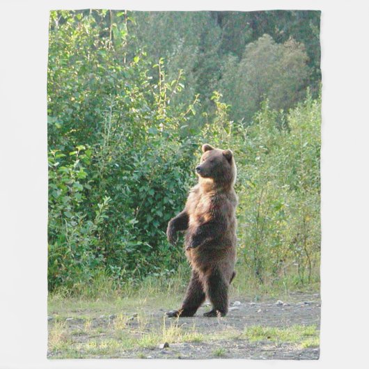 Vliegtuigbak 60x80 met stilstaand grizzly beer fleece deken (Voorkant)