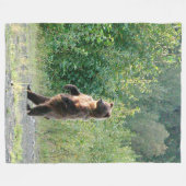 Vliegtuigbak 60x80 met stilstaand grizzly beer fleece deken (Voorkant (Horizontaal))