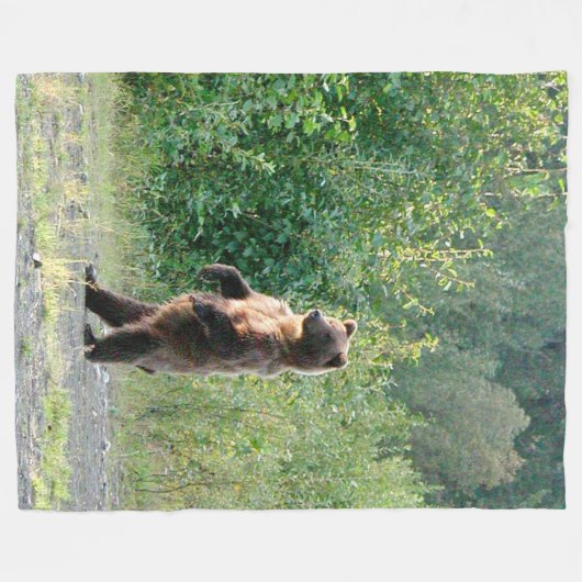 Vliegtuigbak 60x80 met stilstaand grizzly beer fleece deken (Voorkant (Horizontaal))
