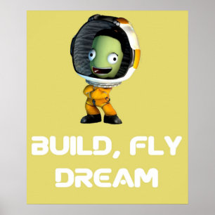 Vliegtuigcrash Kerbal ruimteprogramma Kerbal Poster