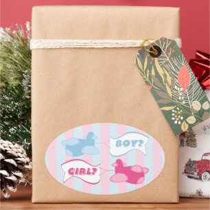 Vliegtuigen en banners Gender Reveal Party Ovale Sticker
