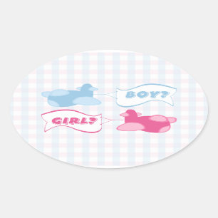 Vliegtuigen en Banners Gingham Gender Reveal Party Ovale Sticker