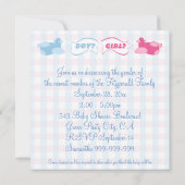 Vliegtuigen en banners Gingham Geslacht Fee Party Kaart (Achterkant)