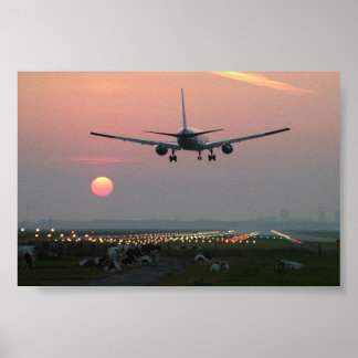 Vliegtuigen en Koeien Poster