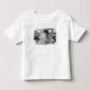 Vliegtuigen van het type C-47 Dakota uit de Tweede Kinder Shirts