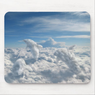 Vliegtuigkunde Muismat