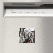 Vliegtuigoorlogvoering Magneet (Insitu (Vaatwasser))