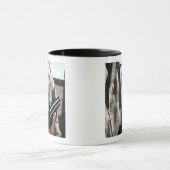 Vliegtuigoorlogvoering Mok (Midden)