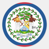 Vliegtuigpatriotten van Belize en Belizean, vakant Ronde Sticker (Voorkant)