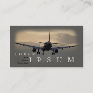Vliegtuigvlucht piloot Stewardess Plane Sky Visitekaartje