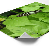 Vliegtuinen 6 poster (Hoek)