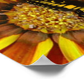 Vliegtuinen Poster (Hoek)