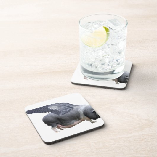 vliegvarken bier onderzetter (Rechterzijde)