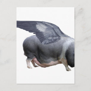 vliegvarken briefkaart